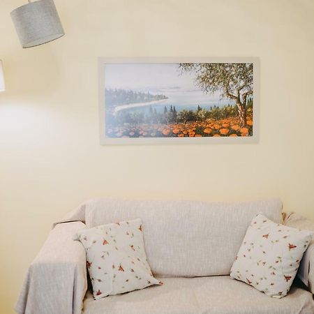 Best House, Rooftop Aprtm., Marina Zeas ピレウス エクステリア 写真